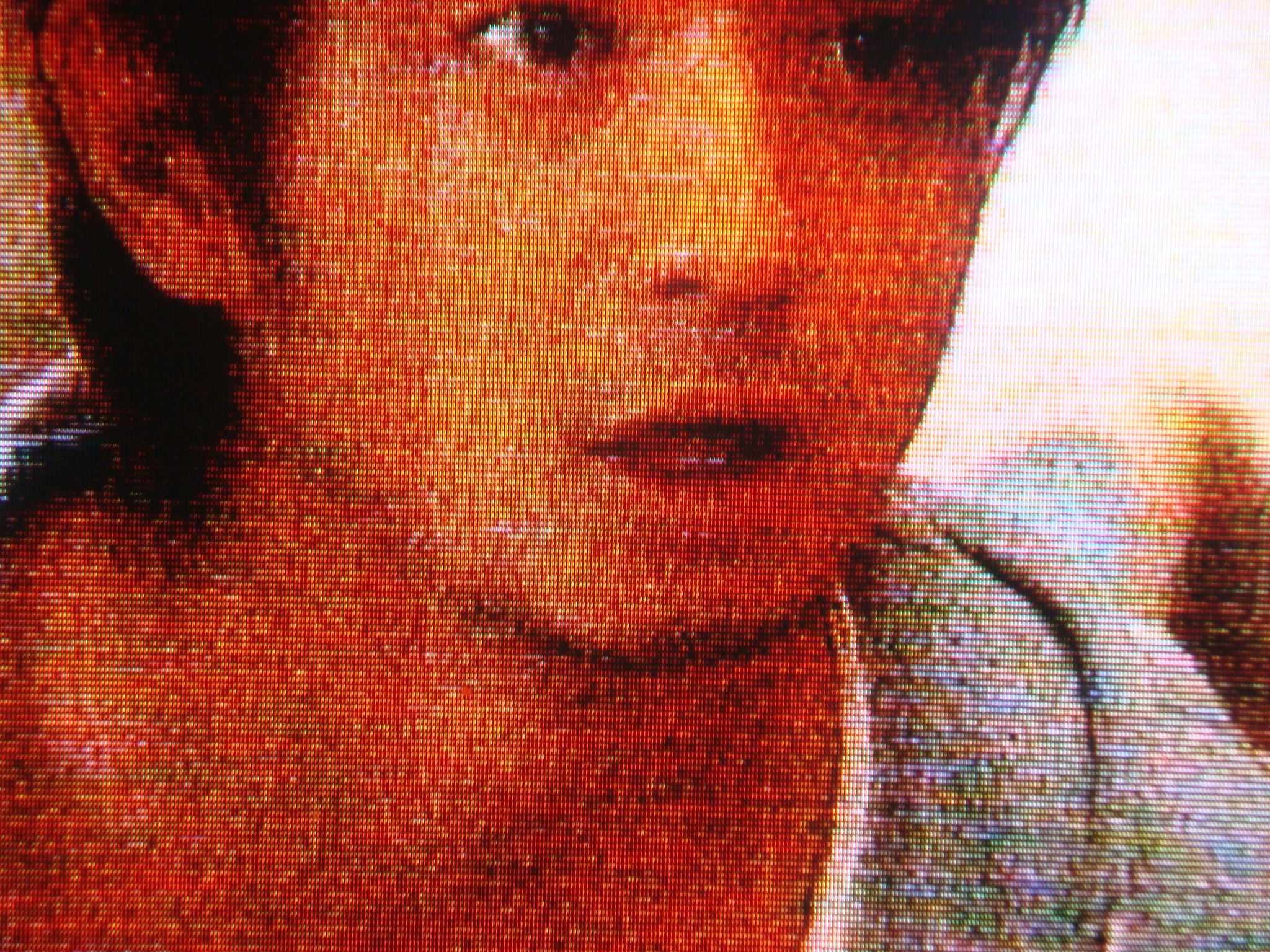 上地雄輔君の セレブと貧乏太郎 ナベさんの生活日記