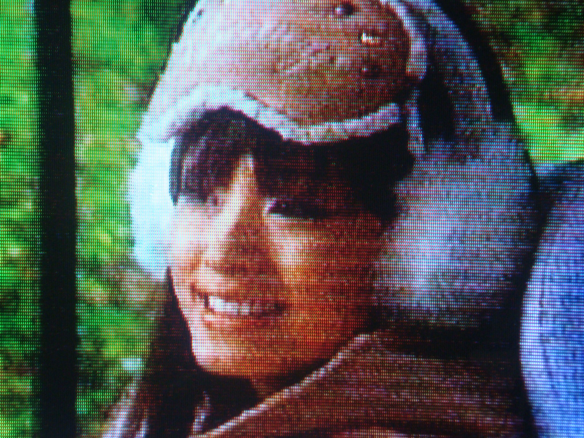 上地雄輔君の セレブと貧乏太郎 ナベさんの生活日記