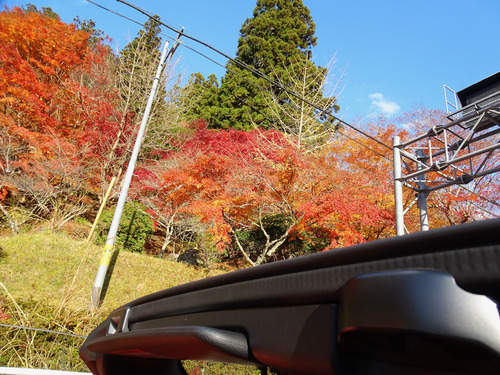 大井平公園通過表紙