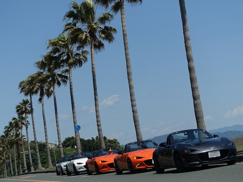 ガマフォルニア4