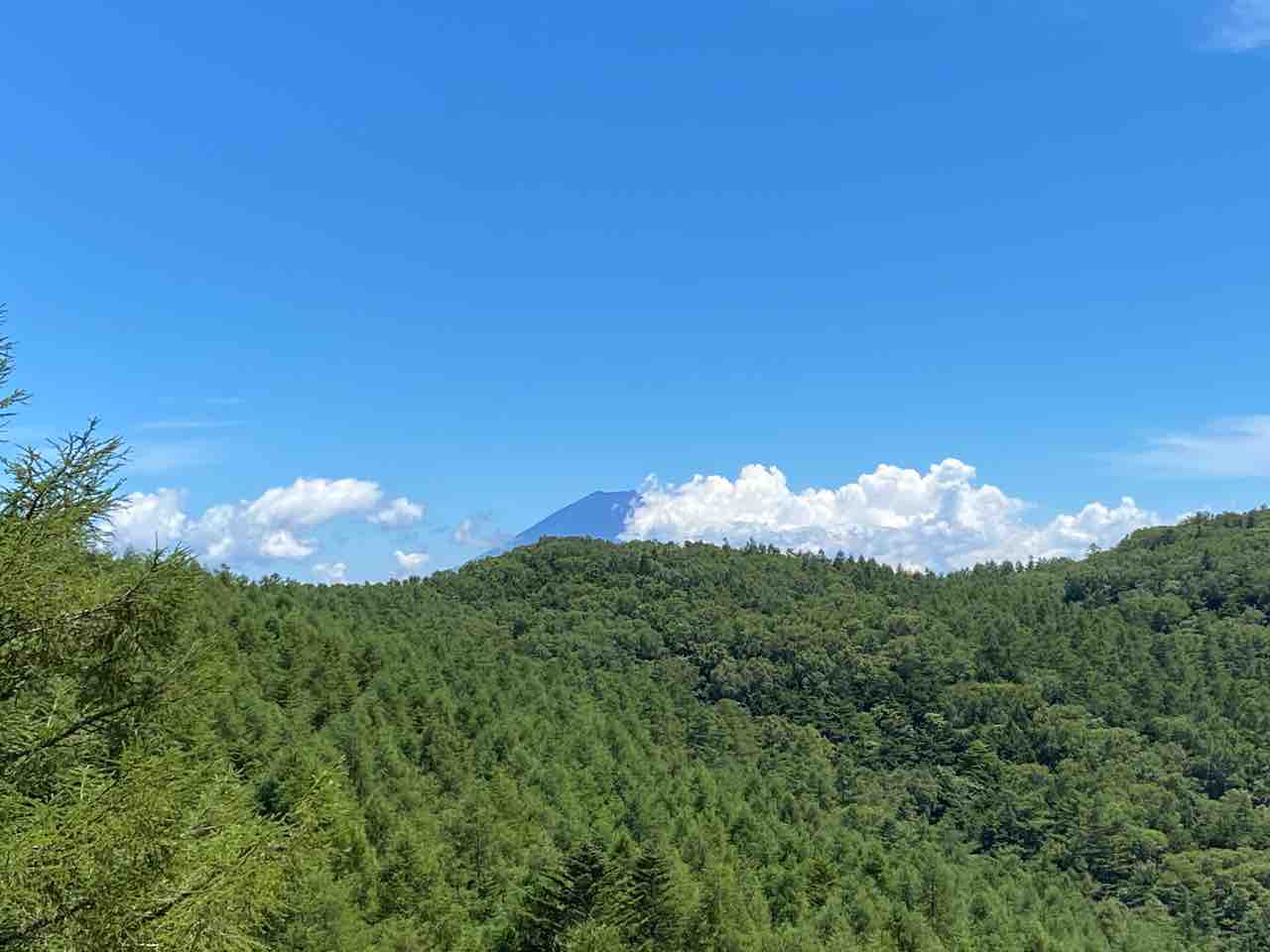 富士山と北岳に挟まれて 櫛形山 三百名山どれだけ登れるか