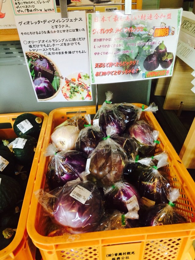 イタリアの茄子 ヴィオレッタ ディ フィレンツェ Nabegonの金魚のあぶく