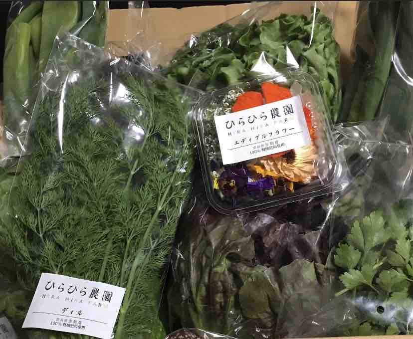 こだわり野菜でいろいろ料理 Nabegonの金魚のあぶく