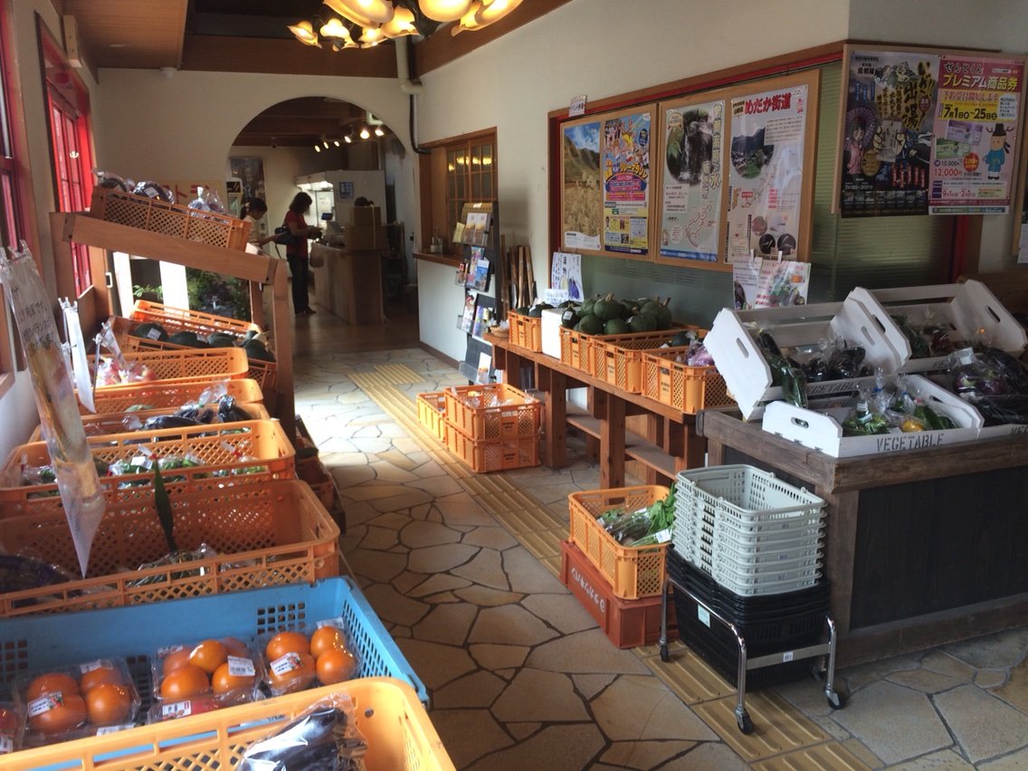 イタリアの茄子 ヴィオレッタ ディ フィレンツェ Nabegonの金魚のあぶく