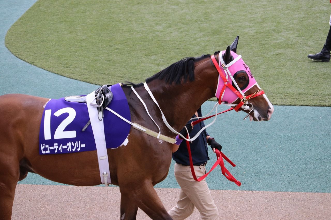 いまさら安田記念 なべなべのまったり競馬ブログ