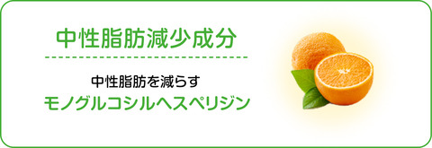 中性脂肪4