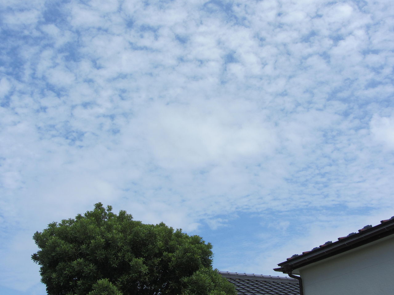 梅雨入り宣言 意味あるの としょくん 紙芝居ボランティア の 窮窮自適 日記 思いのまま