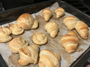 IMG-4574