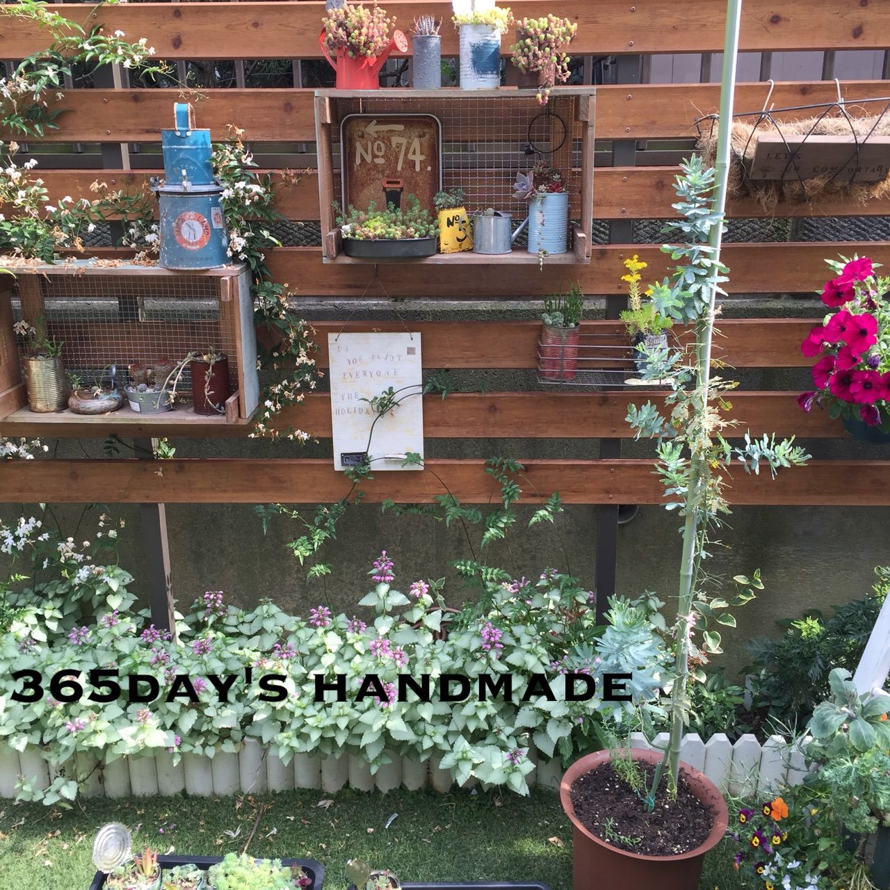 鉢植えのミモザの植え替えと最近のお庭 365day S Handmade