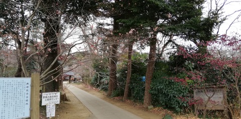 令和3年1月6日(水)の興禅院、妙延寺