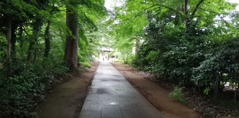 令和3年6月16日(水) 興禅院