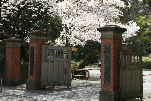 学習院 大復活 早慶march速報 学習院 大復活 早慶march速報