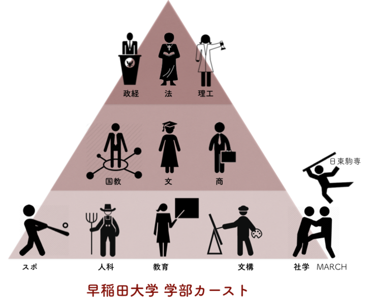 早稲田大学の学部序列を教えてください ->画像>1枚 