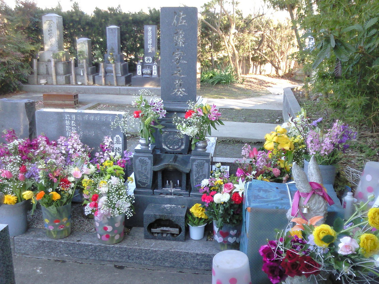 永遠に 医師とニュースとあれこれと 永遠に 医師とニュースとあれこれと