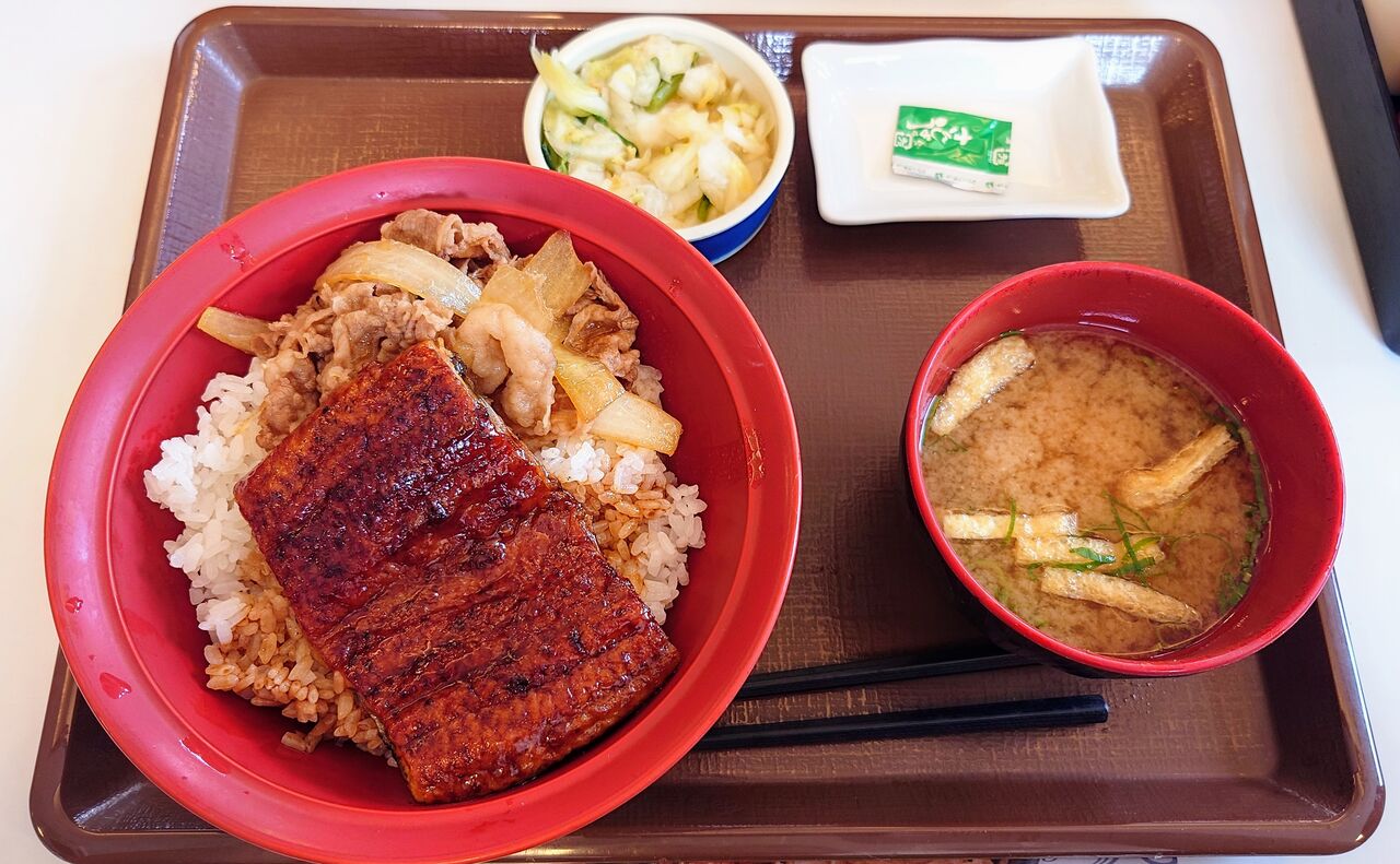 うなぎ食べ比べ2024・夏】牛丼チェーン店編 : グルメ N-BLOG～美味しい