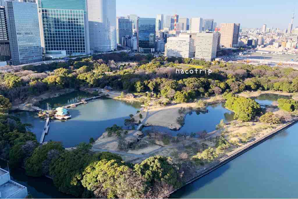 コロナ 子連れ 0歳 で メズム東京 に宿泊しました 辛いもの嫌いな雨女の旅日記