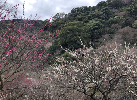 15年05月02日 踊人走人滑人blog