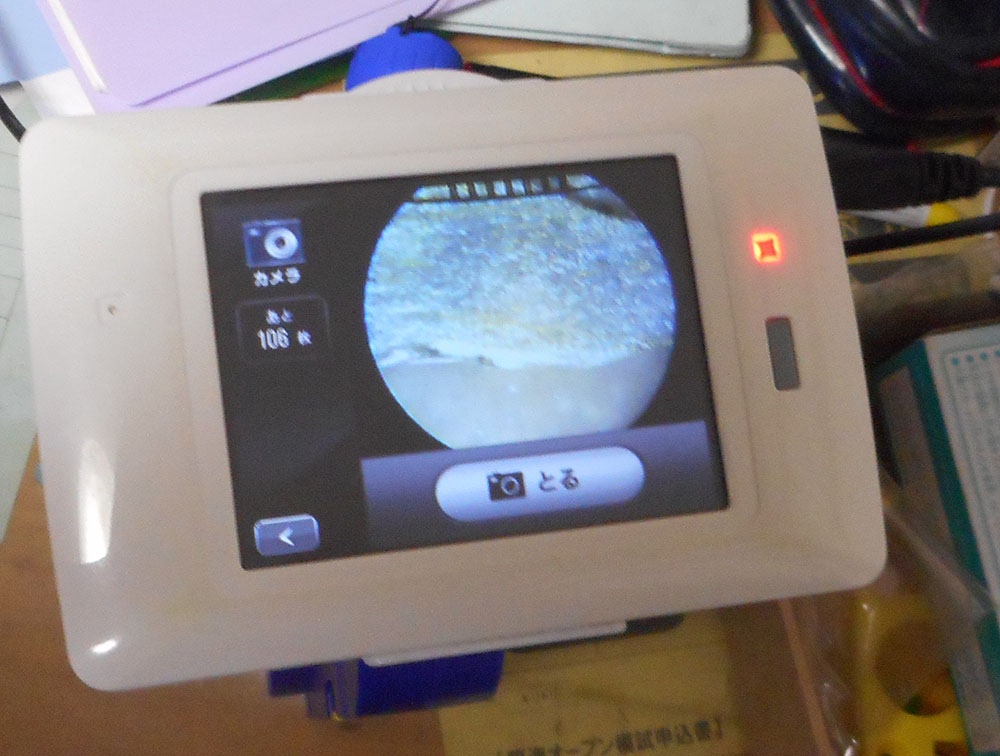 育児 保育 教育等 踊人走人滑人blog