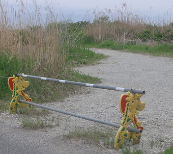 中之島車両通行止めに続く?