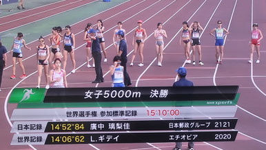日本選手権5000m