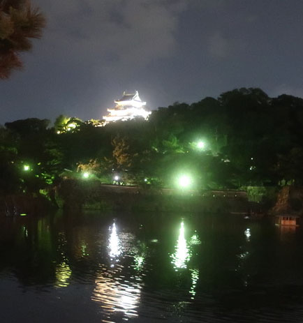 和歌山城ライトアップ