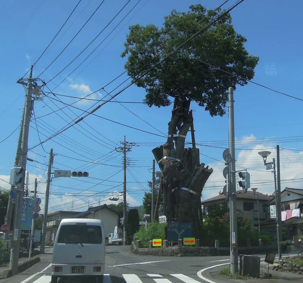 踊人走人滑人blog 踊人走人滑人blog