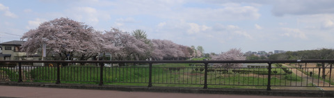 入間川橋