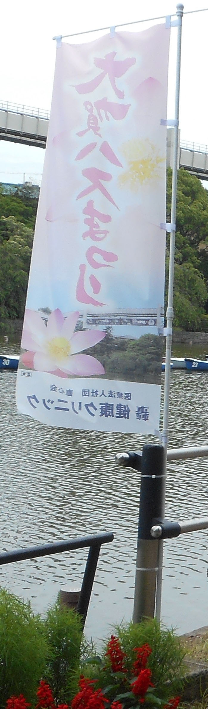 踊人走人滑人blog 踊人走人滑人blog