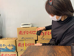 大金星店内いりこ