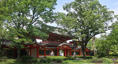 5月の千葉神社