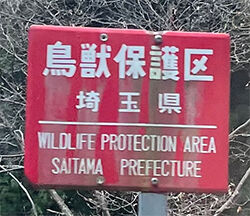 超獣保護区埼玉県