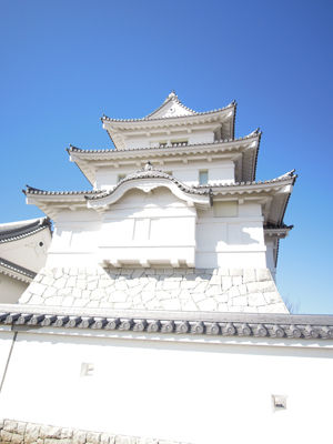 イメージ 1