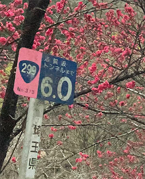 志賀坂トンネルまで6km
