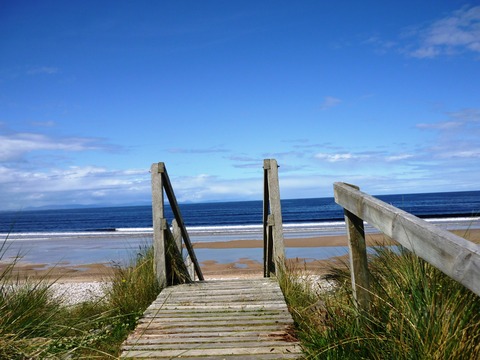 Findhorn June 2011 017