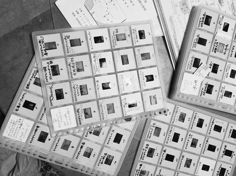 12227037_895087910607991_5352993136931238751_n