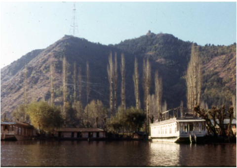 ダル湖 ハウスボート1