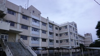 MPV01(047)