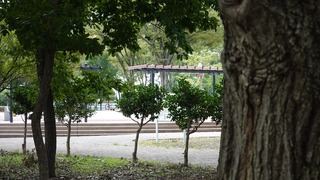 10話(083)