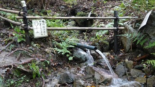 他(002)