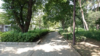 04話(051)