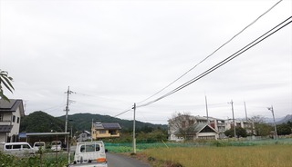 他(016)