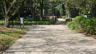 12話(054)