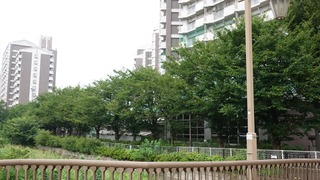 09話(062)