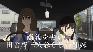 PV02(003)