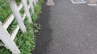 06話(061)