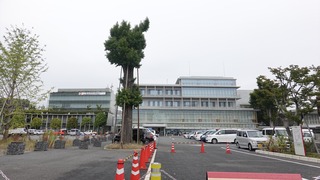 他(005)