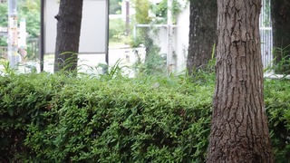 09話(022)