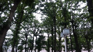 09話(041)