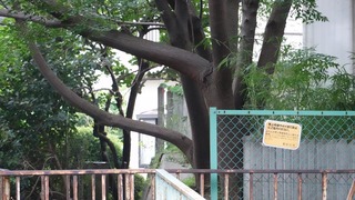 09話(003)