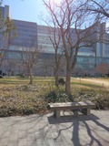 IMG_20260228_105701